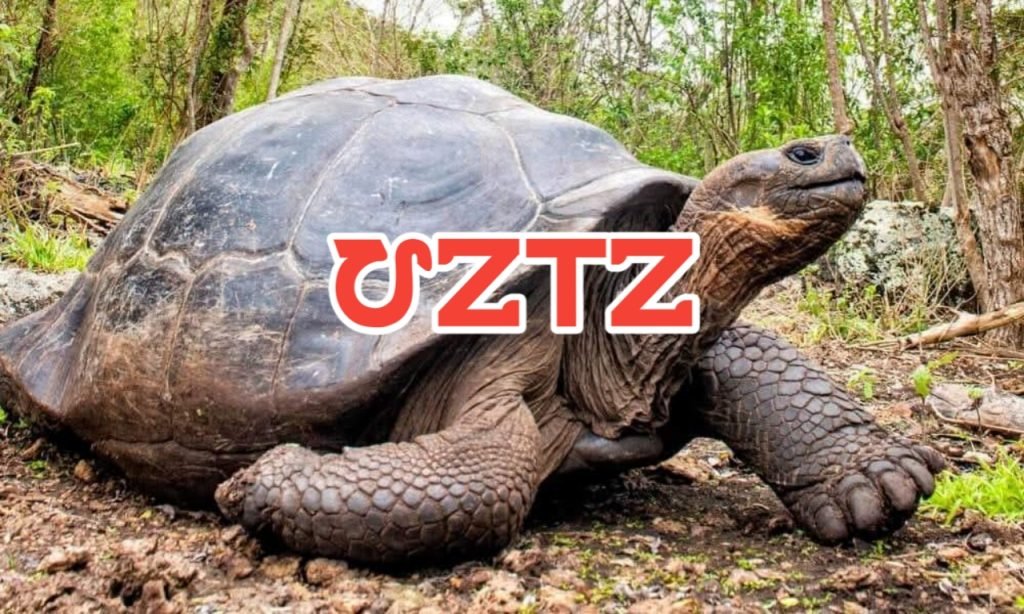 Ho hayam te Horo ar Hro reya orto