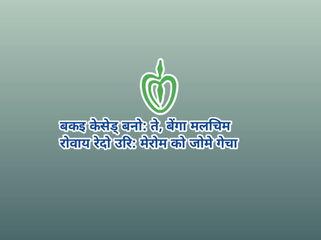 Ho samaj re esu marang komjori