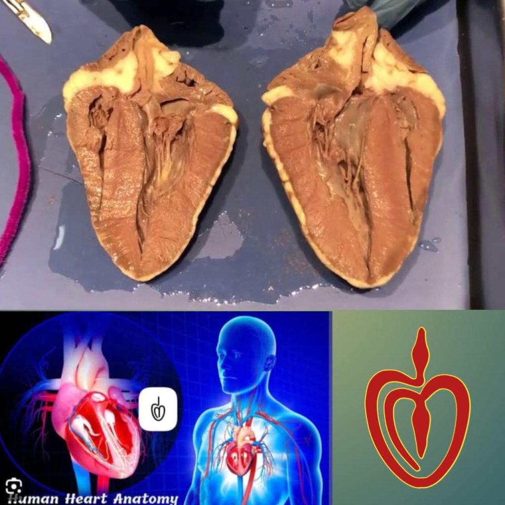 FB IMG 1756001858351 1024x1024