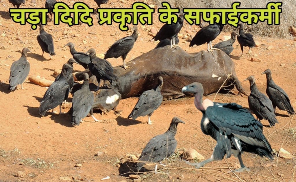 20251002 082127 1024x631