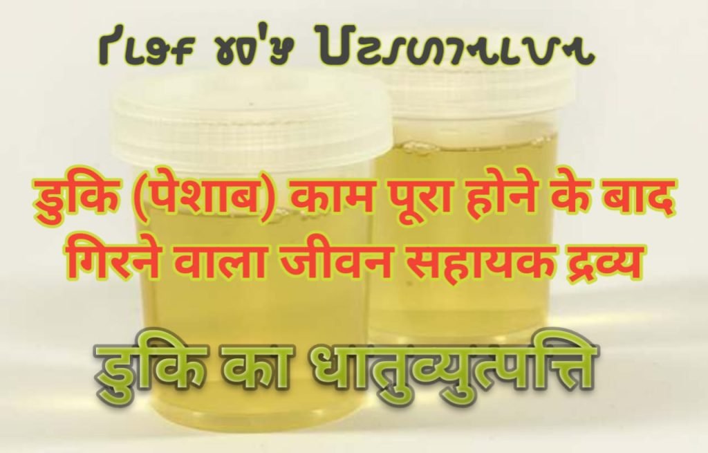 Duki peshab ka vaigyanik vishleshan