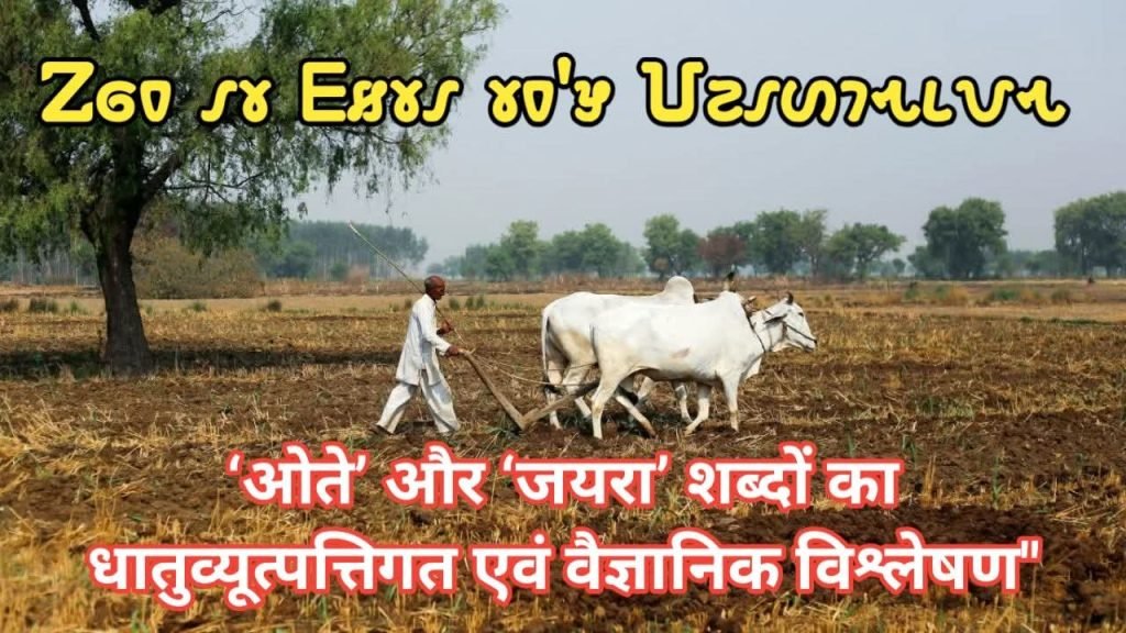 Ote aur Jayra ka vaigyanik mahatv