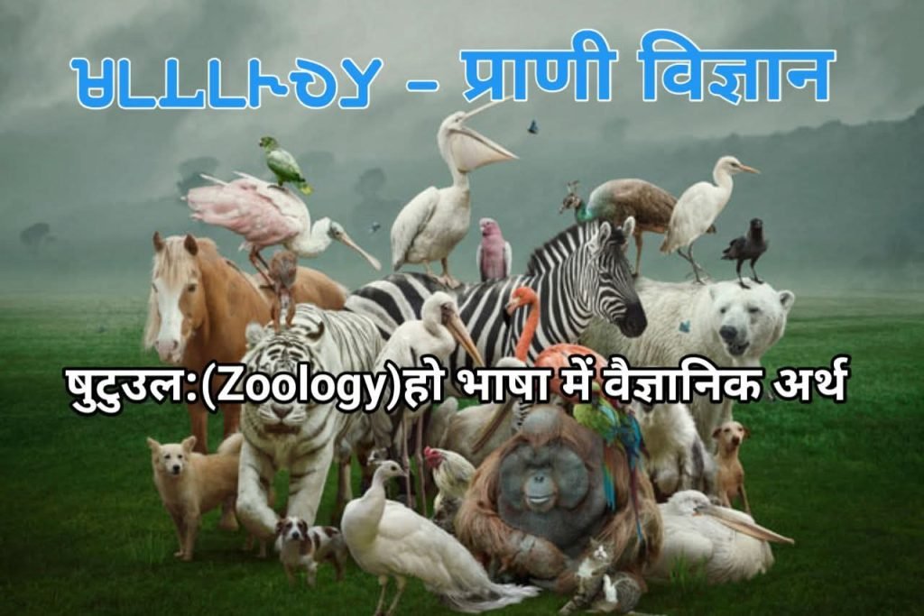 Ho Munda Shutuula ka dhatuvyutpati aur vaigyanik darshan