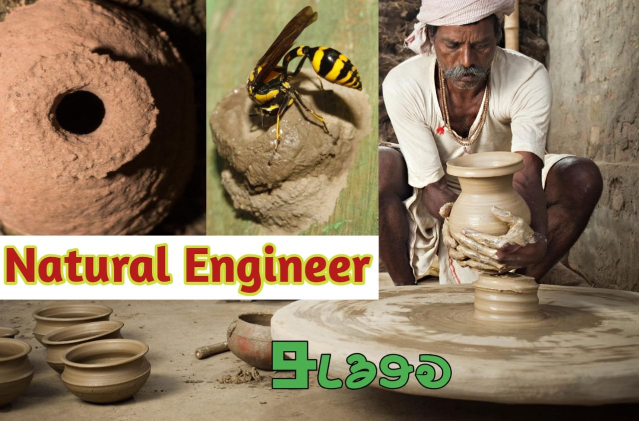 kunkal natural engineer hai